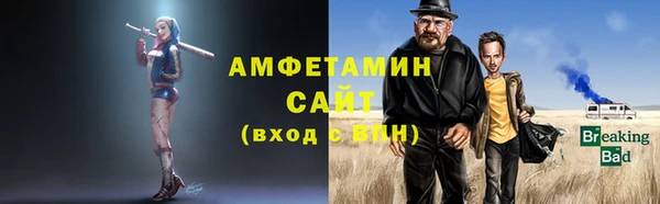 ГАЛЛЮЦИНОГЕННЫЕ ГРИБЫ Богданович