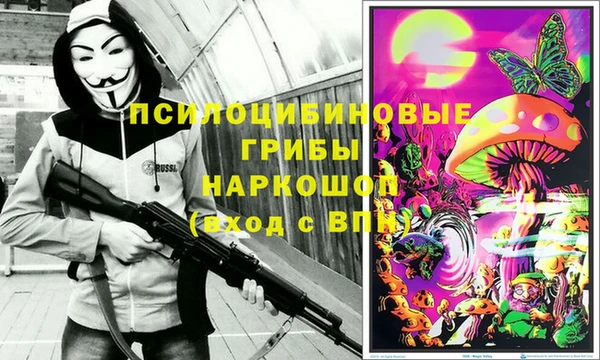 ГАЛЛЮЦИНОГЕННЫЕ ГРИБЫ Богданович