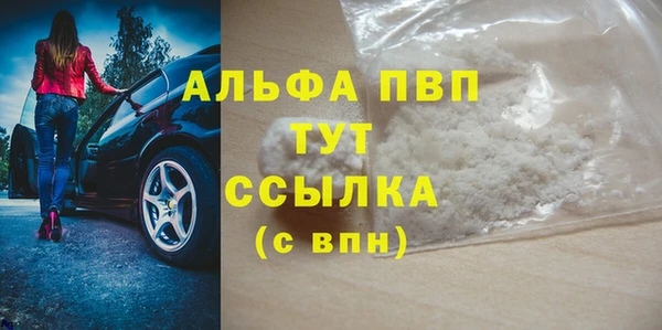 ГАЛЛЮЦИНОГЕННЫЕ ГРИБЫ Богданович