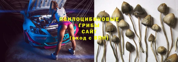 мдпв Слюдянка